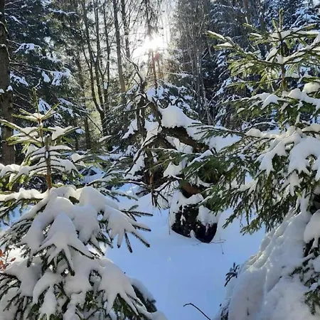 Bellavue W Czarnej Perle *