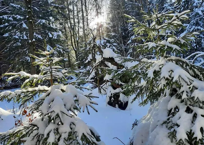 Bellavue W Czarnej Perle *