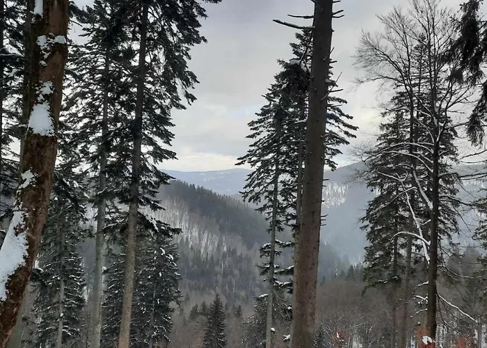 Bellavue W Czarnej Perle Stronie Slaskie